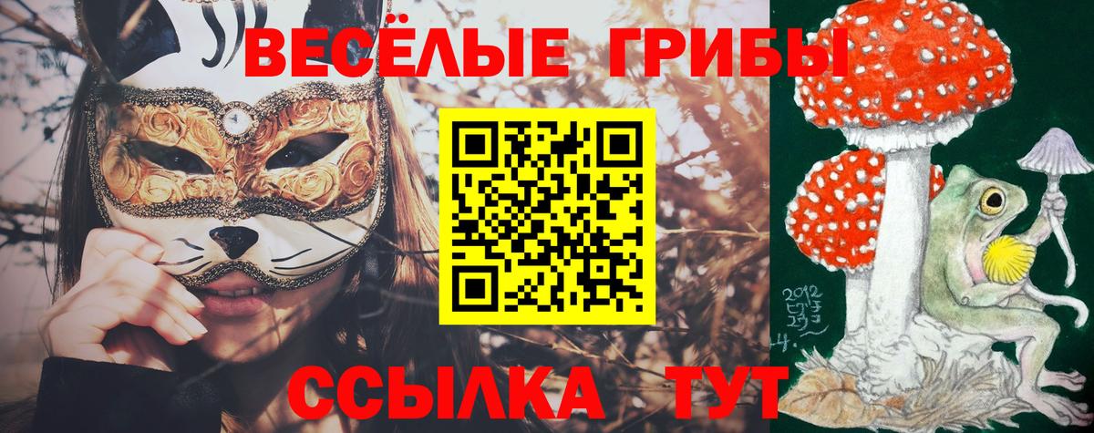 Псилоцибиновые грибы Magic Shrooms Назарово