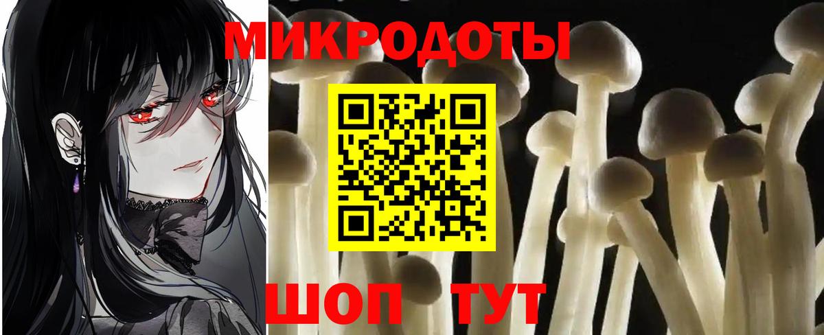 Псилоцибиновые грибы прущие грибы  закладки  Вход с VPN  Назарово  Галлюциногенные грибы Psilocybine cubensis 